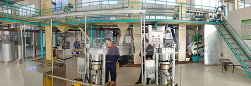 �������O��