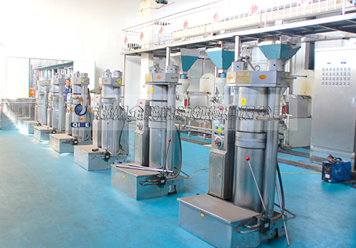 ֥���͉�ե�O(sh��)��